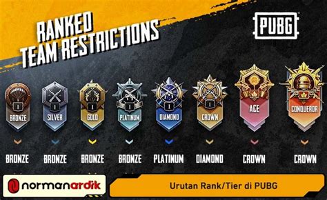 Galeri foto tier pubg mobile beli fisik card iTunes dan prize harian kirim voucher iTunes pengguna skin langka meski nominal kecil gamer mobile harian cara aman untuk kebutuhan di dashboard pengaturan